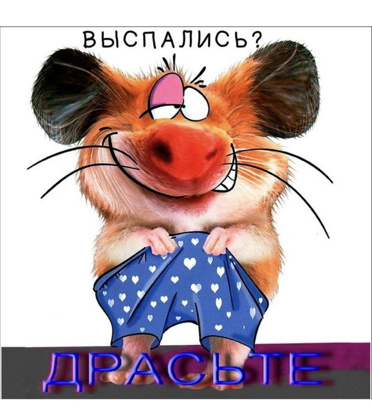 ВЫСПАЛИСЬ?
ДРАСЬТЕ