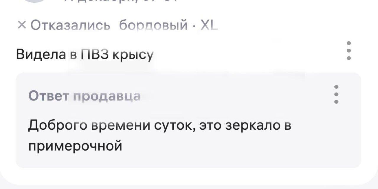 Видела в ПВЗ крысу

Ответ продавца
Доброго времени суток, это зеркало в примерочной
