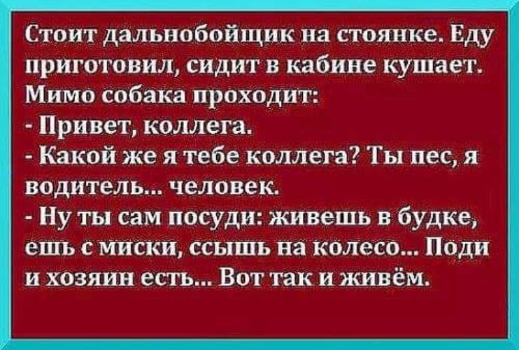 Стоит дальнобойщик на стоянке. Еду приготовил, сидит в кабине, кушает. Мимо собака проходит:
- Привет, коллега.
- Какой же я тебе коллега? Ты пес, я водитель... человек.
- Ну ты сам посуди, живешь в будке, ешь с миски, сидишь на колесе... Поди и хозяин есть... Вот так и живём.
