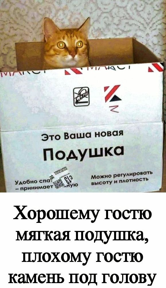 Это Ваша новая Подушка
Хорошему гостю мягкая подушка, плохому гостю камень под голову