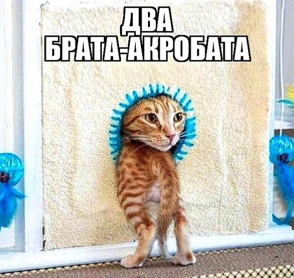ДВА БРАТА-АКРОБАТА