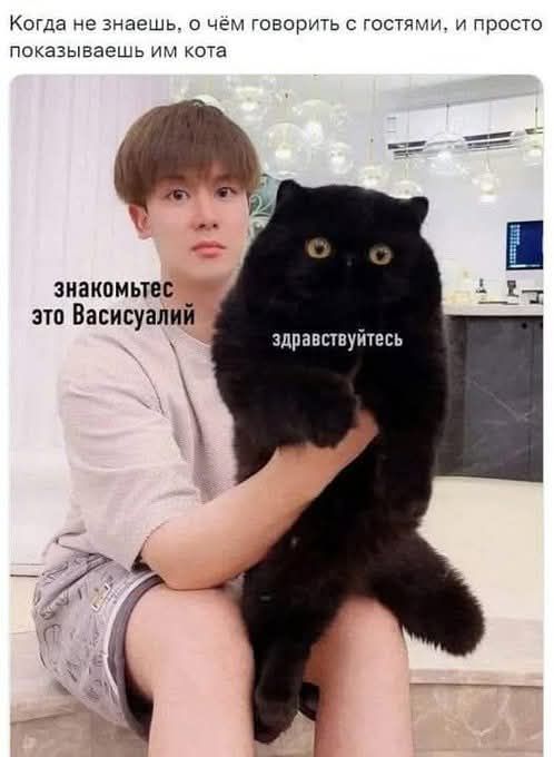 Когда не знаешь, о чём говорить с гостями, и просто показываешь им кота
знакомьтесь это Васисуалий
здравствуйте