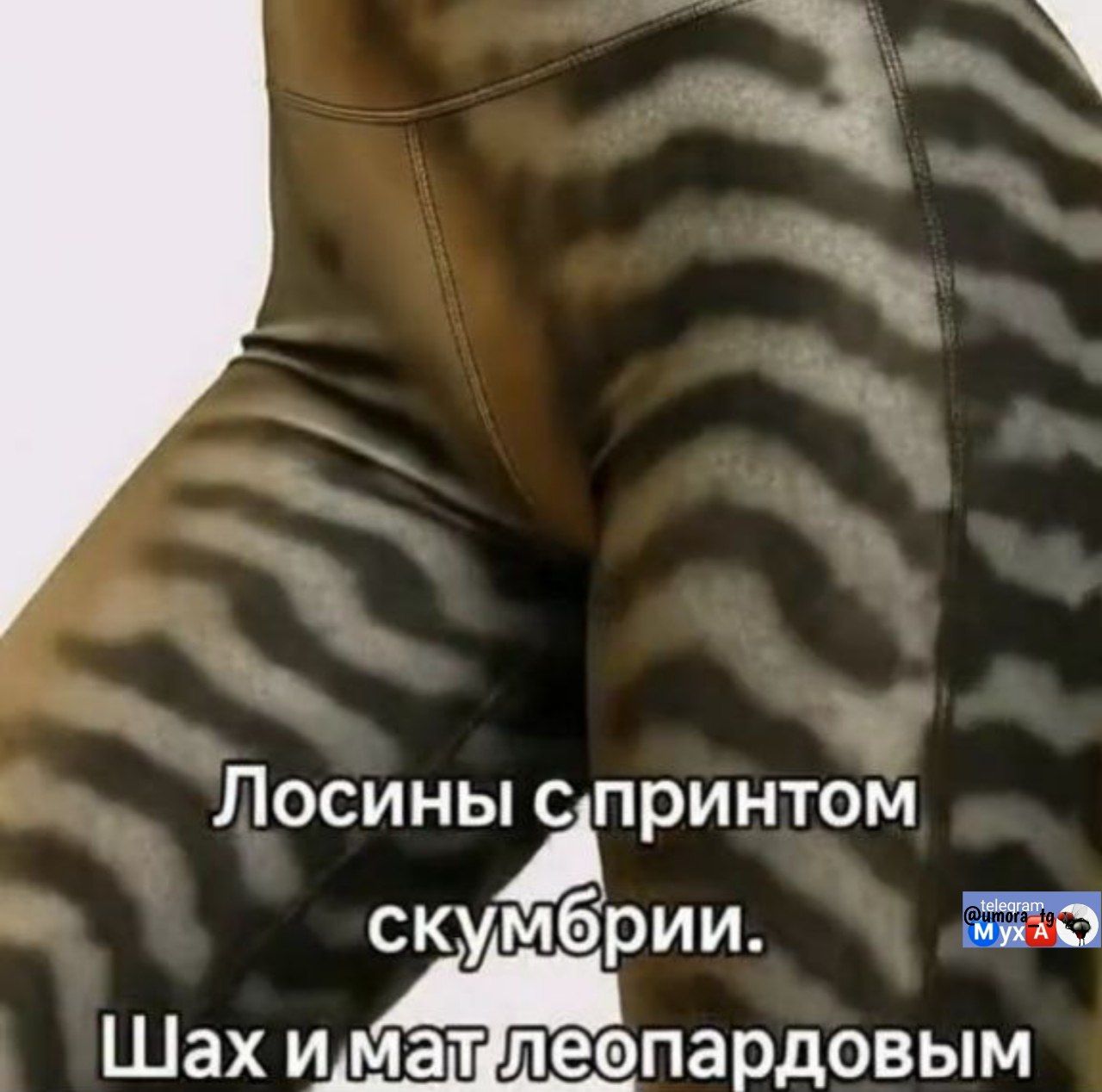 Лосины с принтом скумбрии. Шах и мат леопардовым