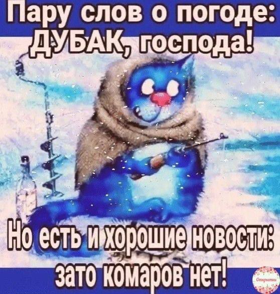 Пару слов о погоде: ДУБАК, господа! Но есть и хорошие новости: зато комаров нет!