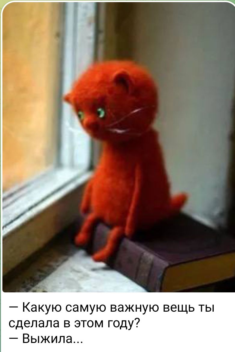 — Какую самую важную вещь ты сделала в этом году? 
— Выжила...