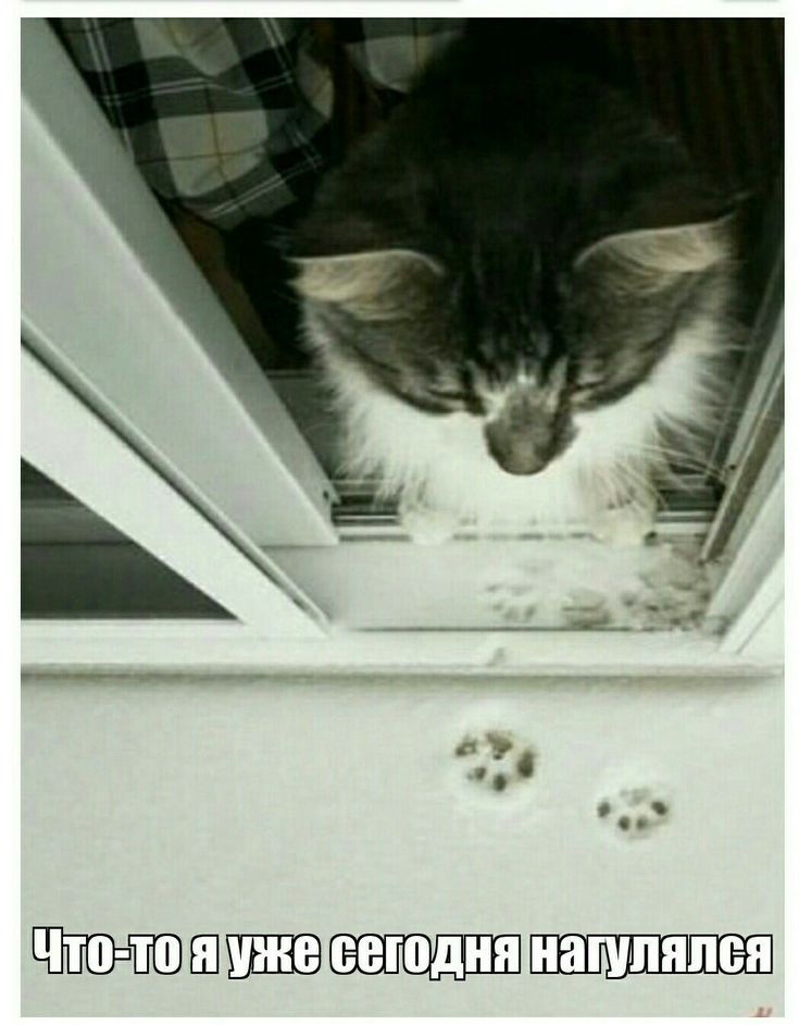Что-то я уже сегодня нагулялся