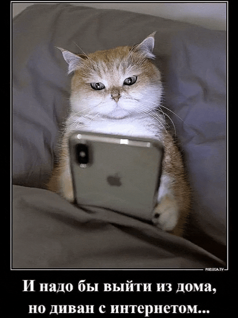 И надo бы выйти из дома, но диван с интернетом...
