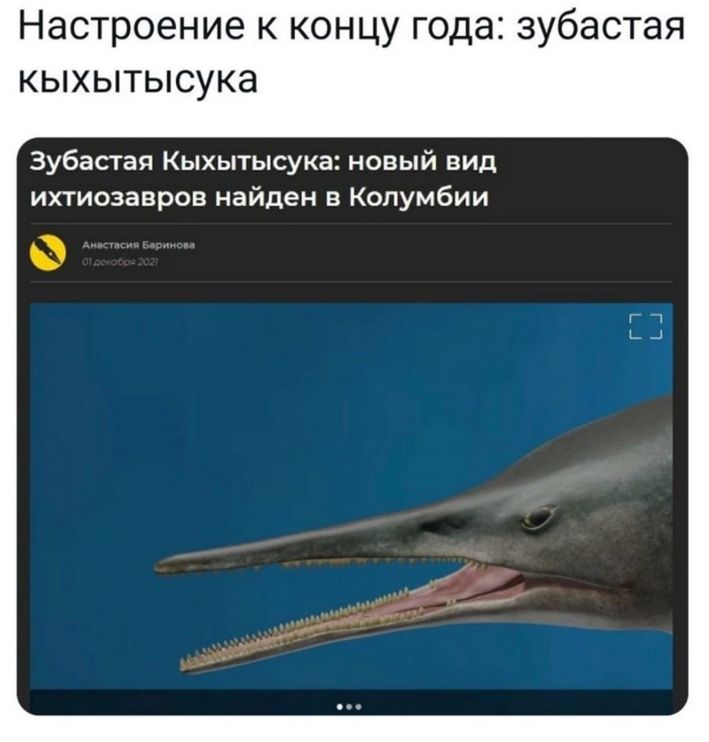 Настроение к концу года: зубастая кыхытсука
Зубастая Кыххытсука: новый вид ихитязазоров найден в Колумбии