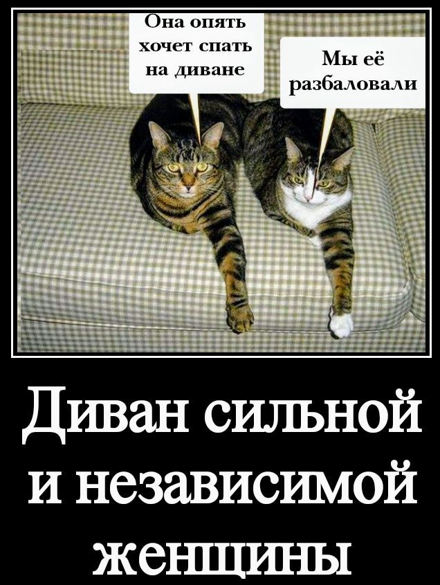 Она опять хочет спать на диване
Мы её разбаливали