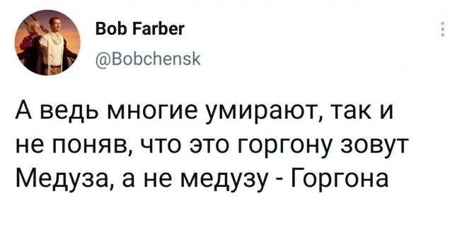 А ведь многие умирают, так и не понял, что это горгону зовут Медзуна, а не медузу - Горгона