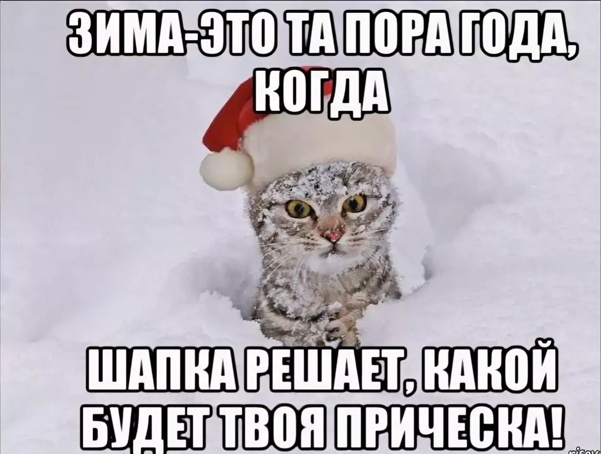 ЗИМА-ЭТО ТА ПОРА ГОДА, КОГДА ШАПКА РЕШАЕТ, КАКОЙ БУДЕТ ТВОЯ ПРИЧЕСКА!