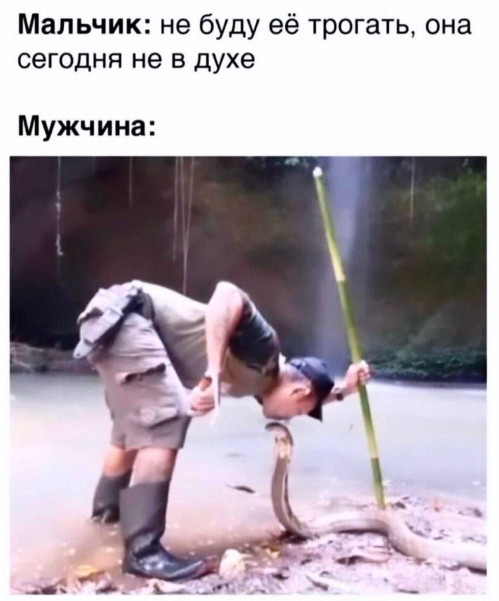 Мальчик: не буду её трогать, она сегодня не в духе
Мужчина: