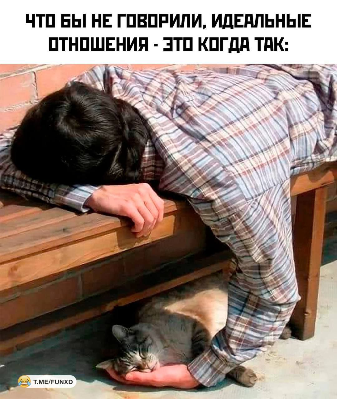 ЧТО БЫ НЕ ГОВОРИЛИ, ИДЕАЛЬНЫЕ ОТНОШЕНИЯ - ЭТО КОГДА ТАК: