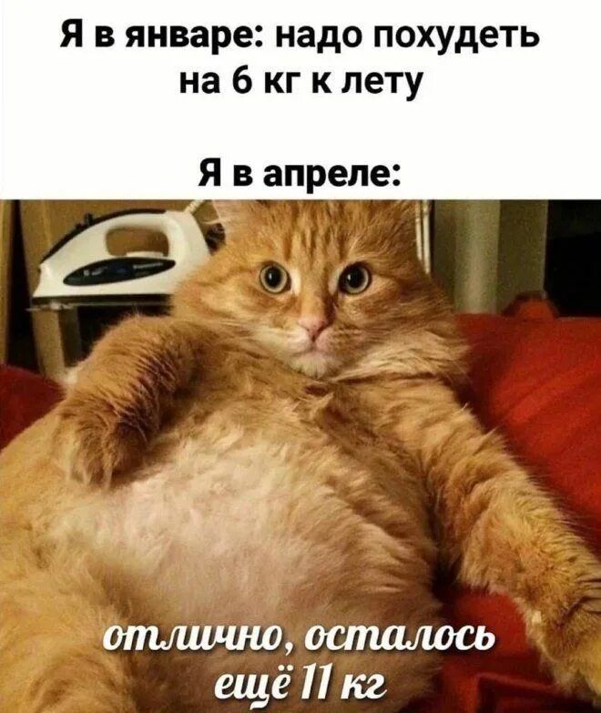 Я в январе: надо похудеть на 6 кг к лету
Я в апреле:
отлично, осталось ещё 11 кг