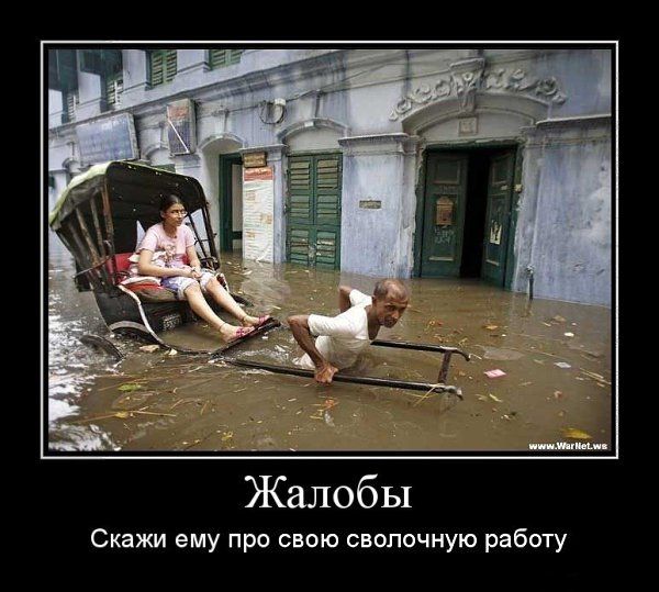 Жалобы
Скажи ему про свою сволоночную работу