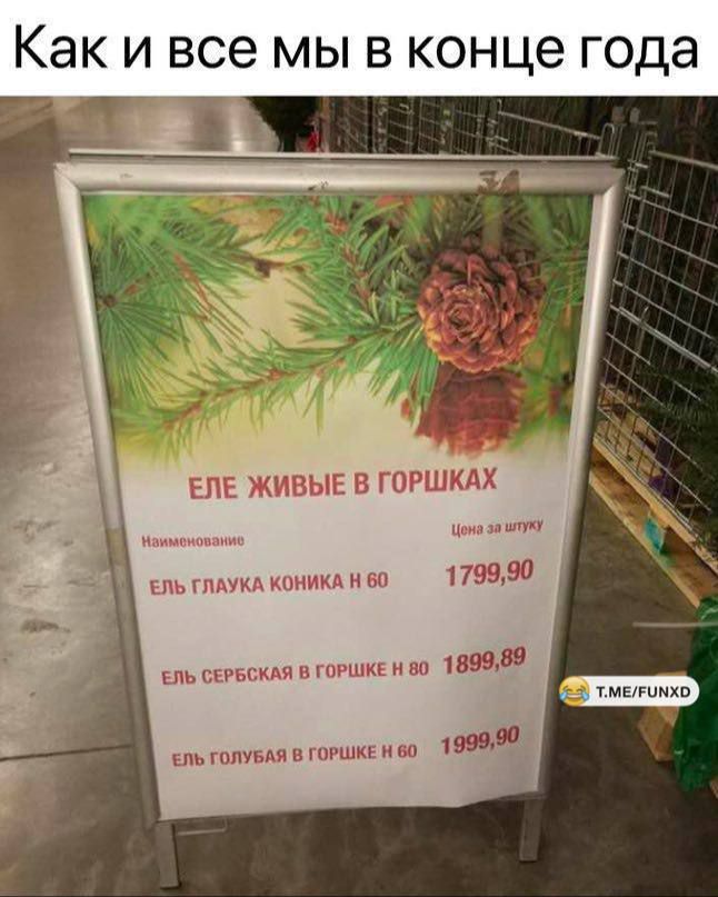 Как и все мы в конце года
ЕЛЕ ЖИВЫЕ В ГОРШКАХ
Наименование Цена за штуку
ЕЛЬ ГЛАУКА КОНИКА Н 60 1799,90
ЕЛЬ СЕРБСКАЯ В ГОРШКЕ Н 80 1889,89
ЕЛЬ ГОЛУБАЯ В ГОРШКЕ Н 60 1999,90