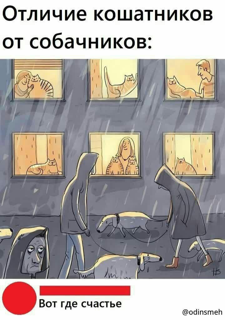 Отличие кошатников от собачников:
Вот где счастье