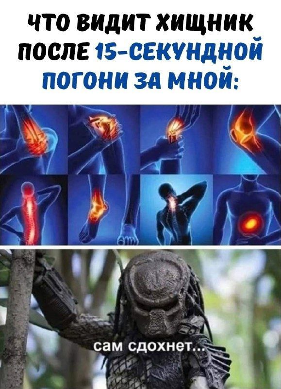 ЧТО ВИДИТ ХИЩНИК ПОСЛЕ 15-СЕКУНДНОЙ ПОГОНИ ЗА МНОЙ:
сам сдохнет..