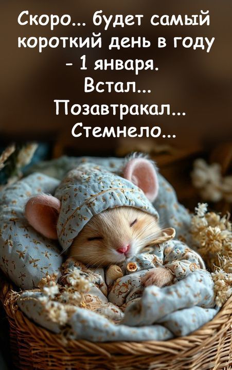 Скоро... будет самый короткий день в году
- 1 января.
Встал...
Позавтракал...
Стемнело...