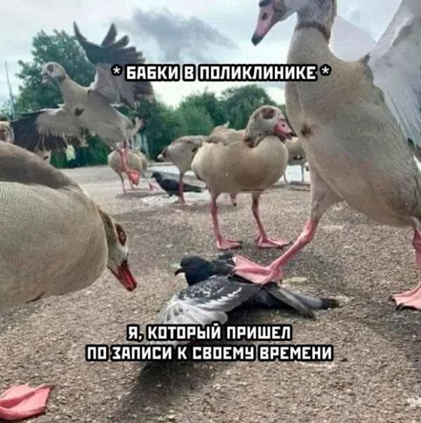 * БАБКИ В ПОЛИКЛИНИКЕ *
Я, КОТОРЫЙ ПРИШЕЛ ПО ЗАПИСИ К СВОЕМУ ВРЕМЕНИ