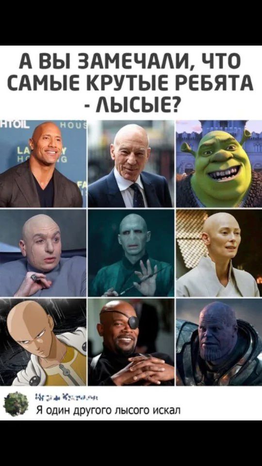 А вы заметили, что самые крутые ребята - лысые?\nЯ один другого лысого искал