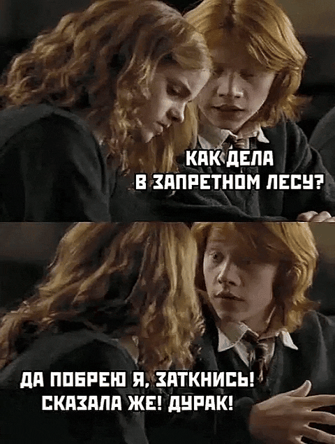 КАК ДЕЛА В ЗАПРЕТНОМ ЛЕСУ?
ДА ПОБЕРЕЖЬ Я, ЗАТКНИСЬ! СКАЗАЛА ЖЕ! ДУРАК!