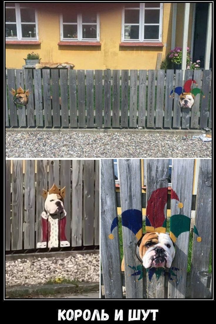 КОРОЛЬ И ШУТ