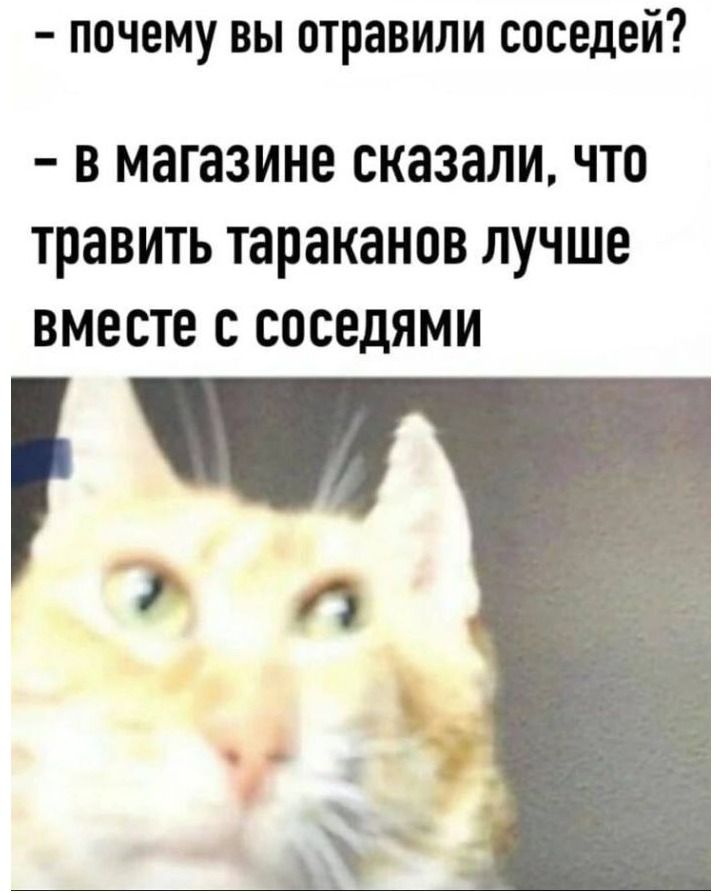 - почему вы отравили соседей?
- В магазине сказали, что травить тараканов лучше вместе с соседями