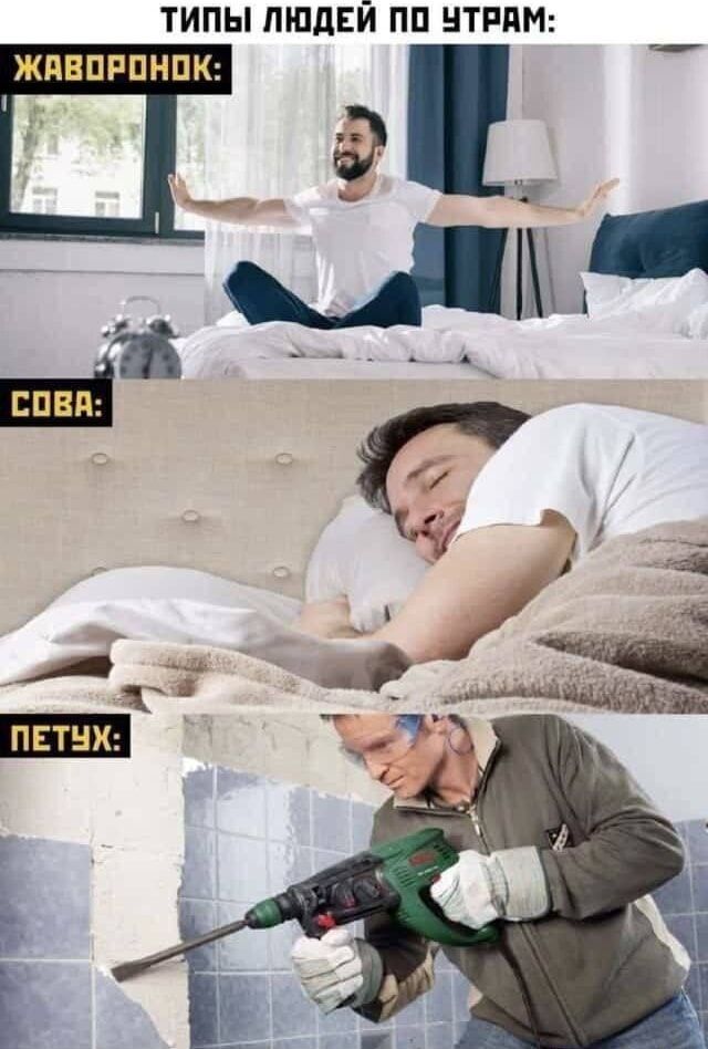 ТИПЫ ЛЮДЕЙ ПО УТРАМ:
ЖАВОРОНОК:
(изображение человека, который встаёт и растягивается)
СОВА:
(изображение человека, который спит или дремлет)
ПЕТУХ:
(изображение человека, который что-то мастерит/старательно работает в ванной/плитке)