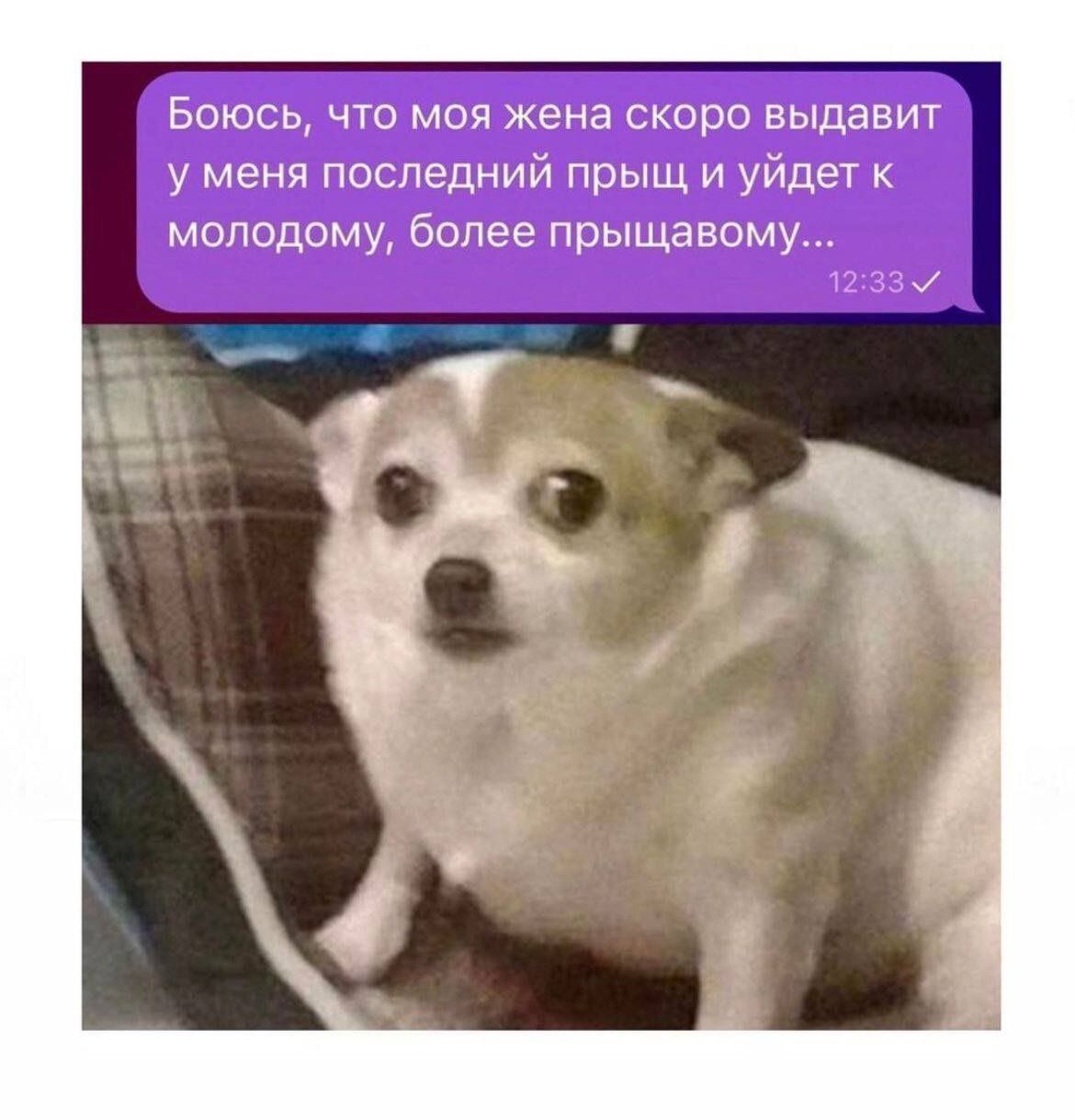 Боюсь, что моя жена скоро выдает у меня последний прыщ и уйдёт к молодому, более прыщавому...