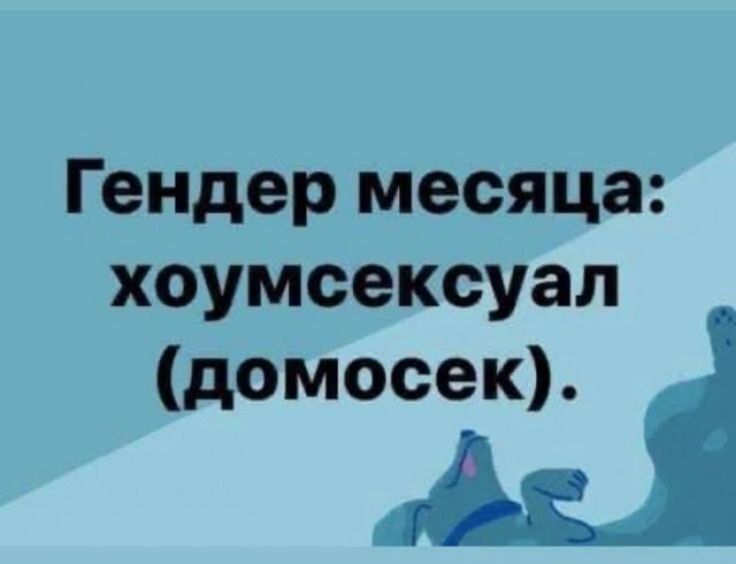 Гендер месяца: хоумсексуал (домосек).