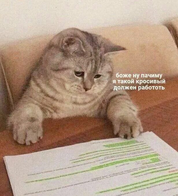 боже ну почему я такой красивый должен работать