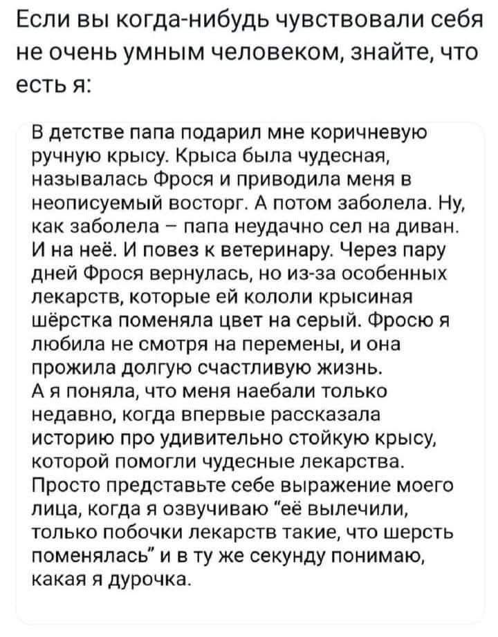 Если вы когда-нибудь чувствовали себя не очень умным человеком, знайте, что есть я:

В детстве папа подарил мне коричневую ручную крысу. Крыса была чудесная, называлась Фрося и приводила меня в неупомнённый восторг. А потом заболела. Ну, как заболела – папа неудачно сел на диван. И на неё. И повез к ветеринару. Через пару дней Фрося вернулась, но и