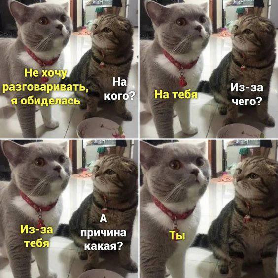 Не хочу разговаривать, я обиделась
На кого?
На тебя
Из-за чего?
Из-за тебя
А причина какая?
Ты