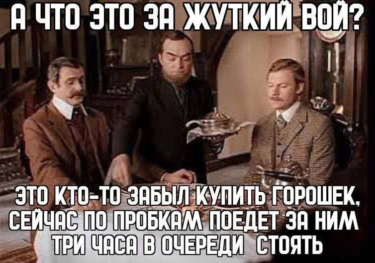 А ЧТО ЭТО ЗА ЖУТКИЙ ВОЙ? ЭТО КТО-ТО ЗАБЫЛ КУПИТЬ ГОРОШЕК, СЕЙЧАС ПО ПРОБКАМ ПОЕДЕТ ЗА НИМ ТРИ ЧАСА В ОЧЕРЕДИ СТОЯТ
