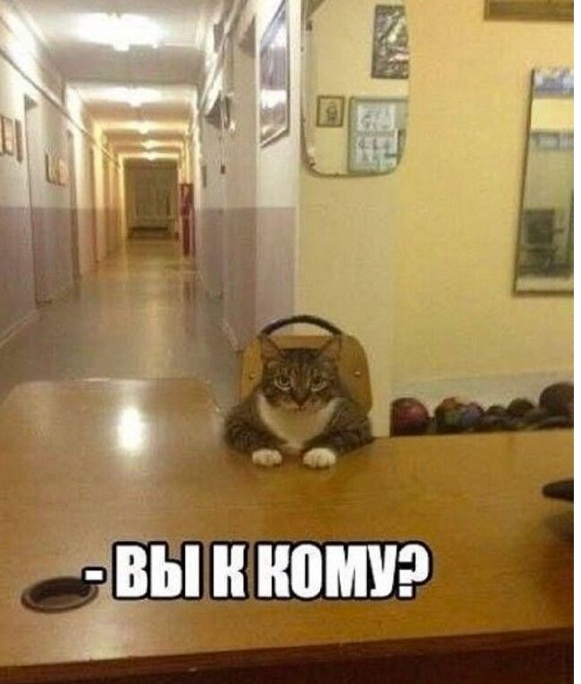 - ВЫ К КОМУ?