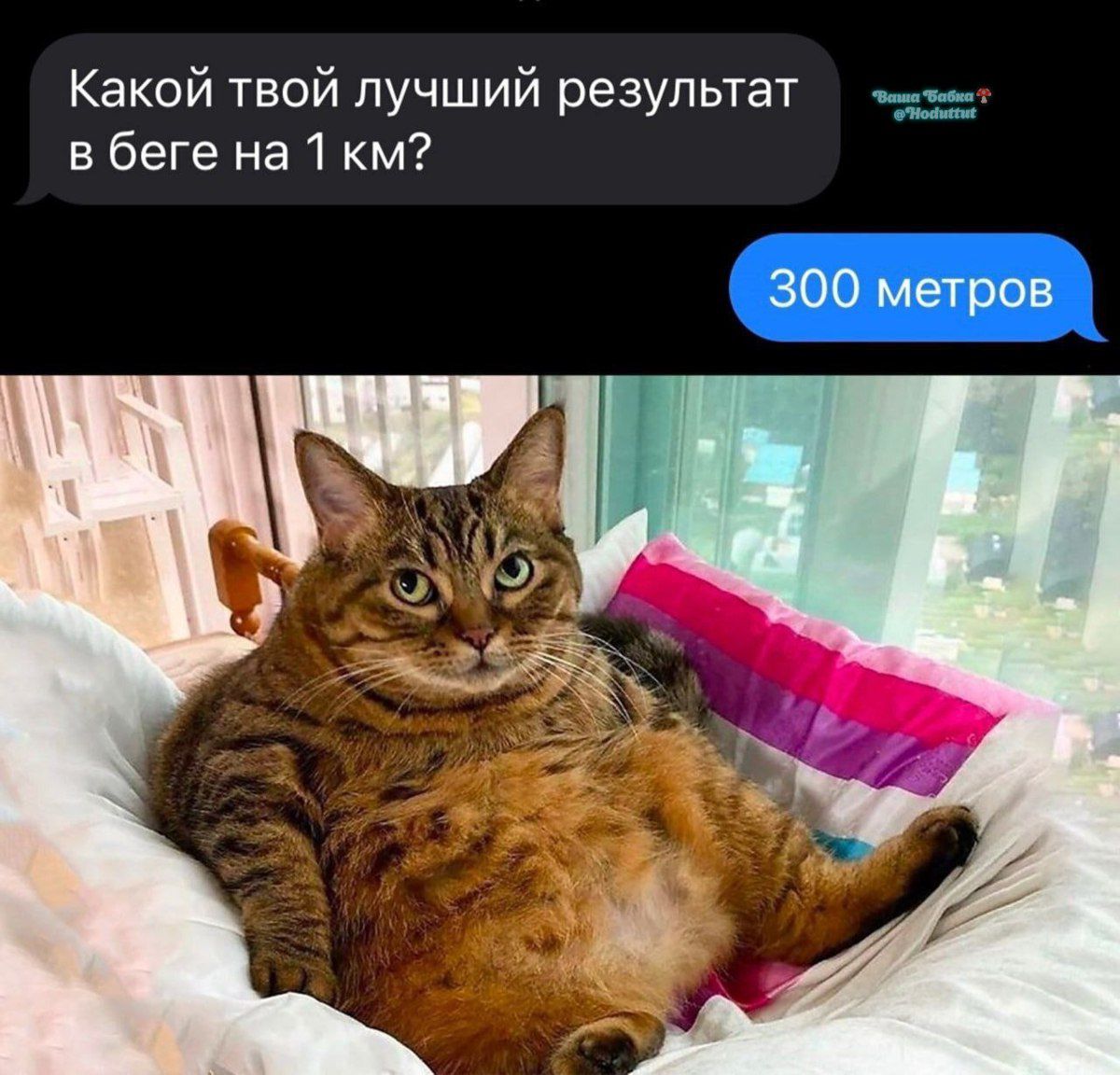 Какой твой лучший результат в беге на 1 км?
300 метров