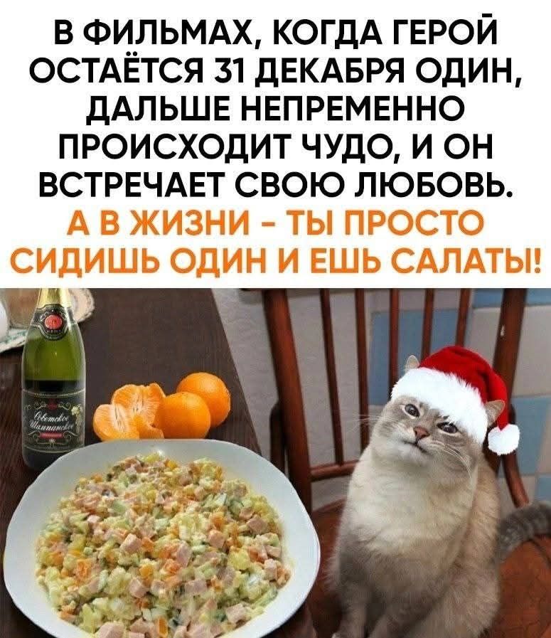 В ФИЛЬМАХ, КОГДА ГЕРОЙ ОСТАЕТСЯ 31 ДЕКАБРЯ ОДИН, ДАЛЬШЕ НЕПРЕМЕННО ПРОИСХОДИТ ЧУДО, И ОН ВСТРЕЧАЕТ СВОЮ ЛЮБОВЬ. А В ЖИЗНИ - ТЫ ПРОСТО СИДИШЬ ОДИН И ЕШЬ САЛАТЫ!