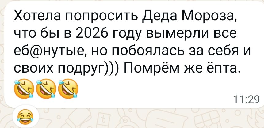 Хотела попросить Деда Мороза, что бы в 2026 году вымерли все ебанутые, но побоялась за себя и своих подруг))) Помрём же ёпта.