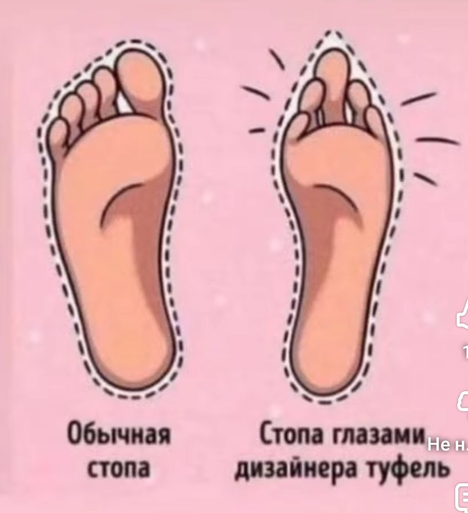 Обычная стопа\nСтопа глазами дизайнера туфель