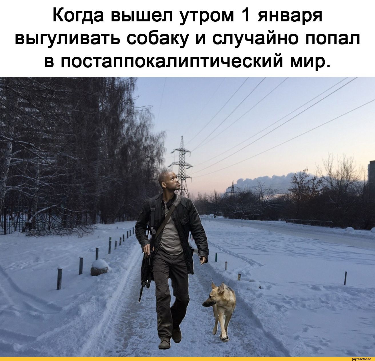 Когда вышел утром 1 января выгулливать собаку и случайно попал в постапокалиптический мир.