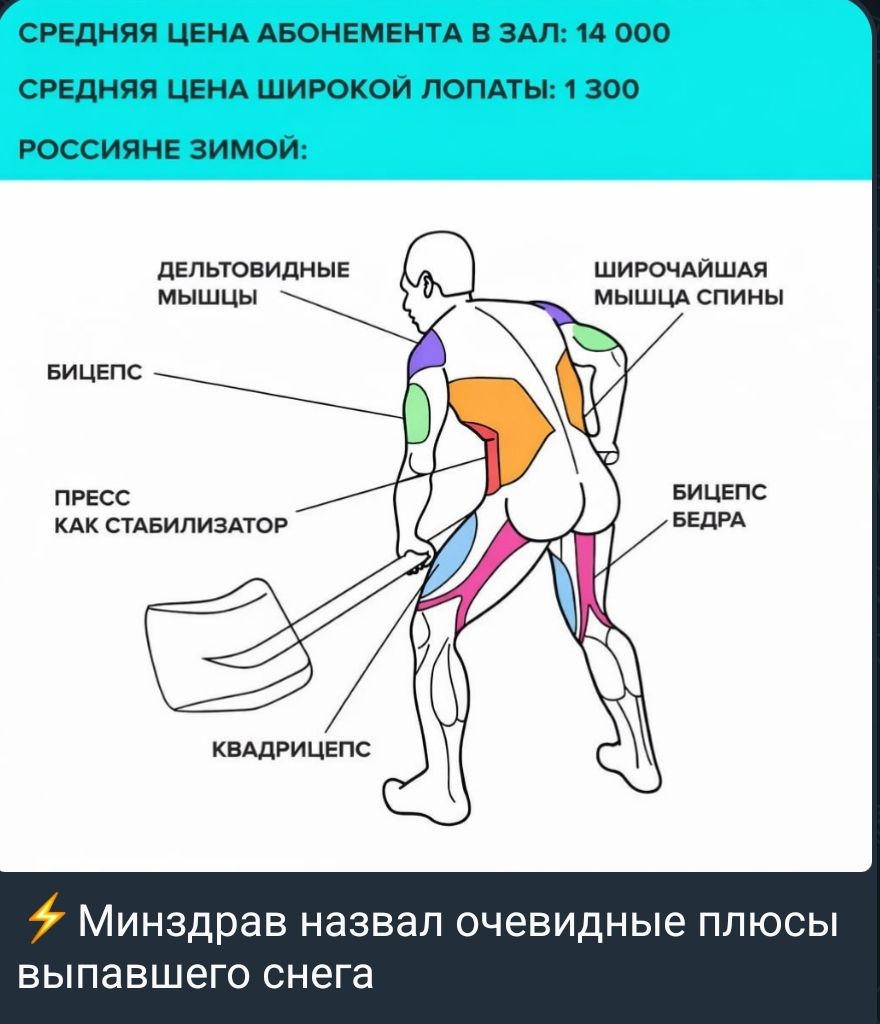 СРЕДНЯЯ ЦЕНА АБОНЕМЕНТА В ЗАЛ: 14 000
СРЕДНЯЯ ЦЕНА ШИРОКОЙ ЛОПАТЫ: 1 300
РОССИЯНЕ ЗИМОЙ:

ДЕЛЬТОВИДНЫЕ МЫШЦЫ
ПРЕСС КАК СТАБИЛИЗАТОР
КВАДРИЦЕПС
ШИРОЧАЙШАЯ МЫШЦА СПИНЫ
БИЦЕПС
БИЦЕПС БЕДРА
