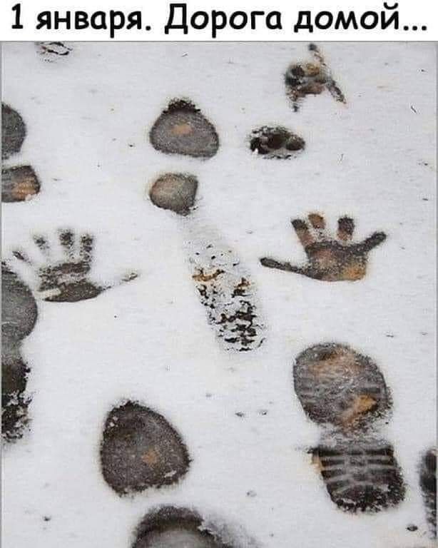 1 января. Дорога домой...