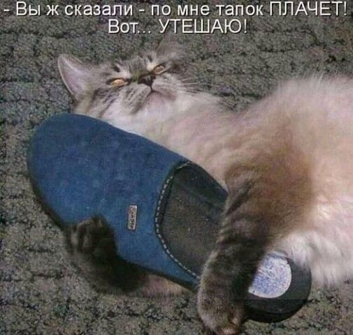 Вы ж сказали - по мне тапок ПЛАЧЕТ! Вот.. УТЕШАЮ!