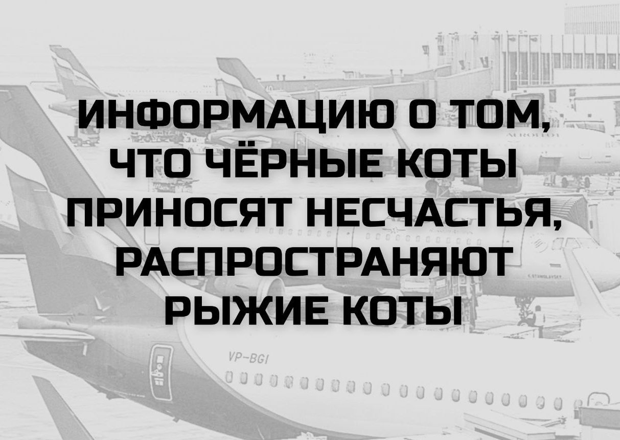 ИНФОРМАЦИЮ О ТОМ, ЧТО ЧЁРНЫЕ КОТЫ ПРИНОСЯТ НЕСЧАСТЬЯ, РАСПРОСТРАНЯЮТ РЫЖИЕ КОТЫ