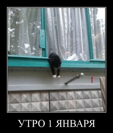 УТРО 1 ЯНВАРЯ