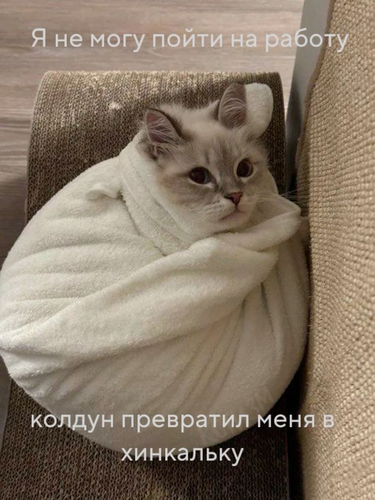 Я не могу пойти на работу
колдун превратил меня в хинкалку