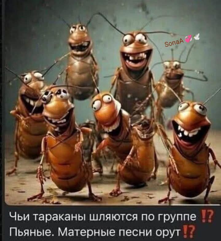 Чьи тараканы шляются по группе?! Пьяные. Матерные песни орют