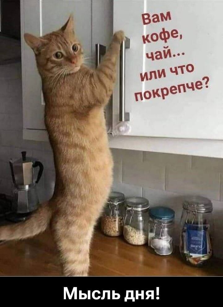 Вам кофе, чай... или что покрепче? Мысль дня!
