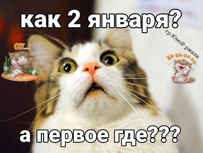 как 2 января?
а первое где???